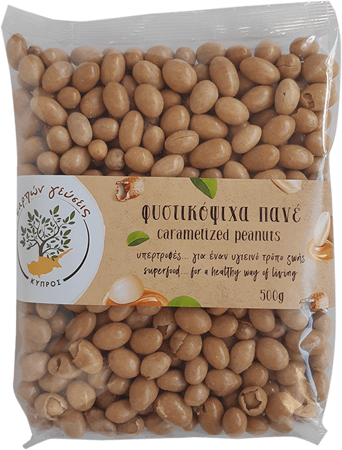 ΦΥΣΤΙΚΟΨΙΧΑ ΠΑΝΕ 500g